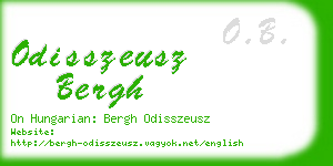 odisszeusz bergh business card